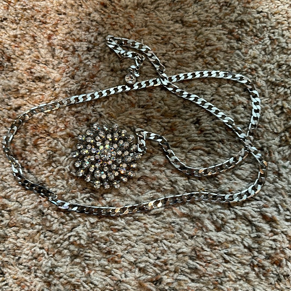 No label sparkle belt